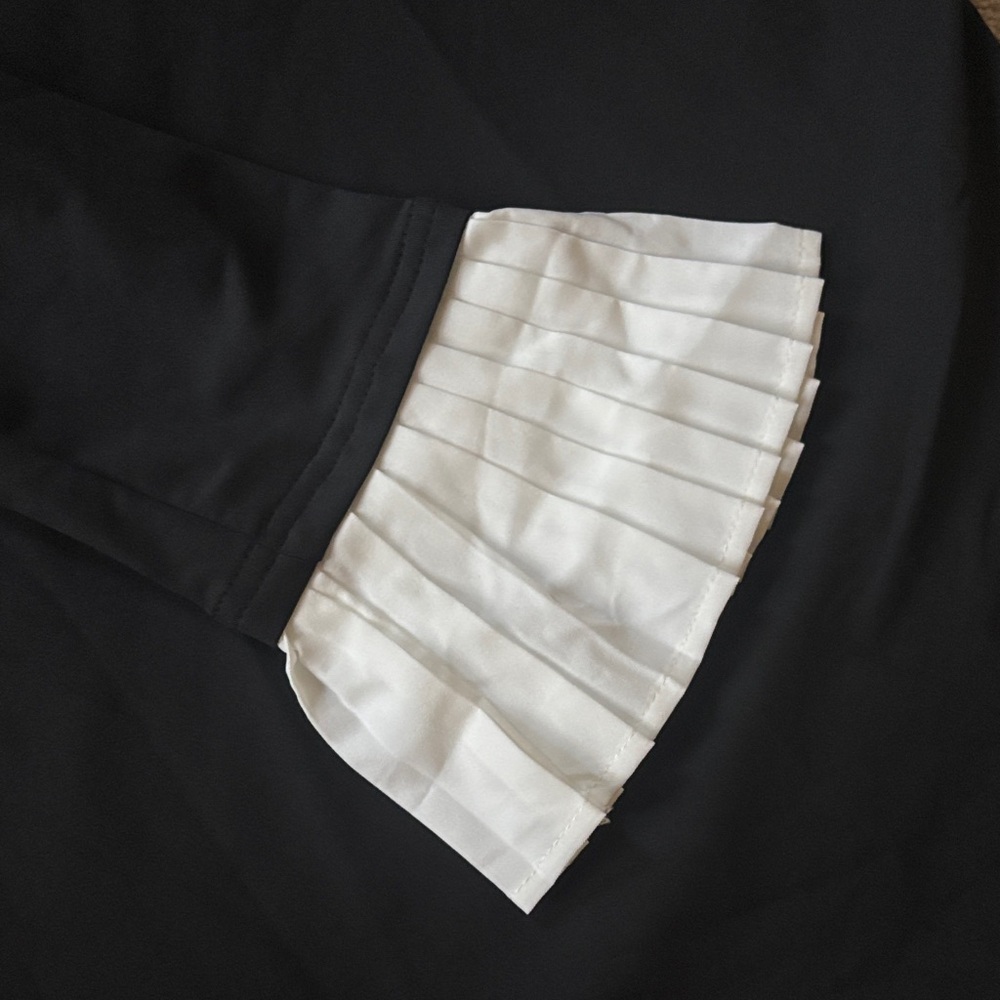Elegant Black and White Pleated Dress - Picture 3 of 4